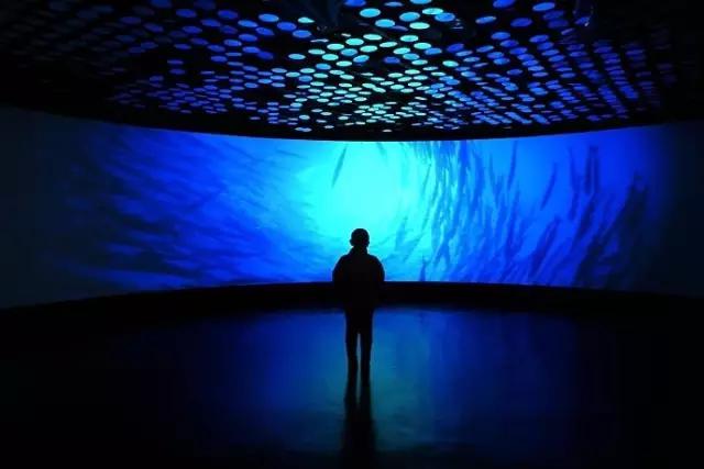 上海免费旅游景点,上海残疾人免费景点一览表