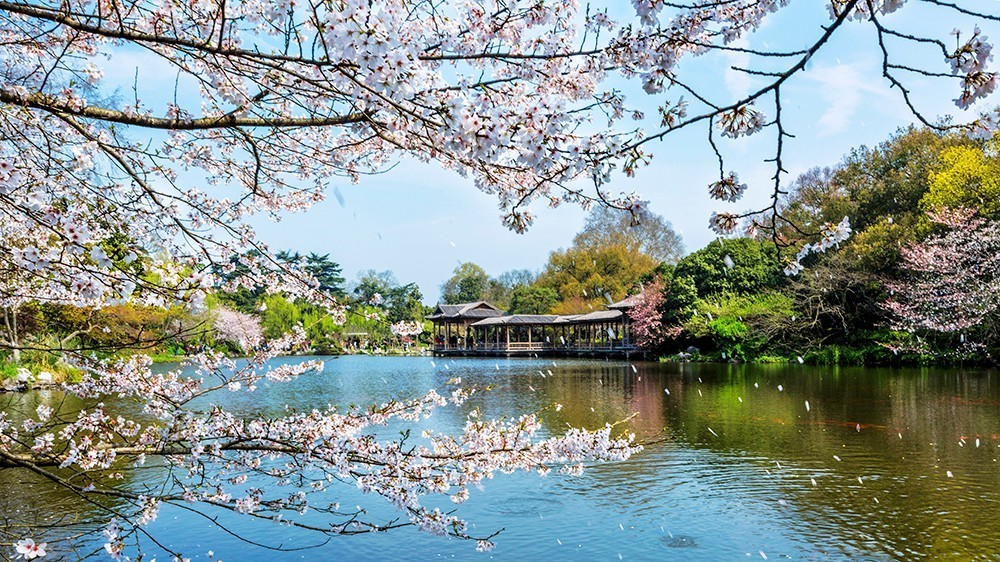 新一线城市名单杭州,2020新一线城市名单杭州