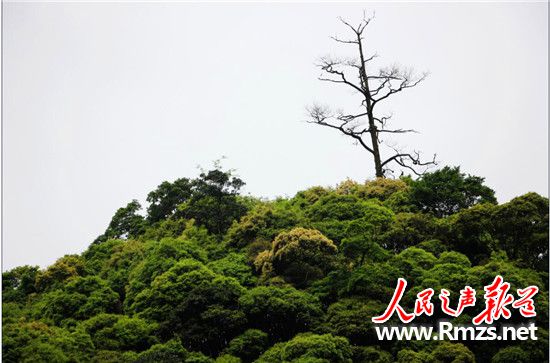 贵州凯里剑河县风景,贵州剑河章白村风景