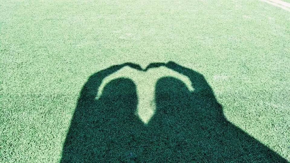 梧州新年旅游攻略,元旦梧州旅游最佳去处