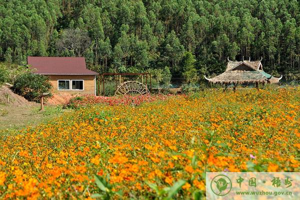 梧州新年旅游攻略,元旦梧州旅游最佳去处