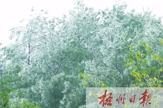 梧州新年旅游攻略,元旦梧州旅游最佳去处