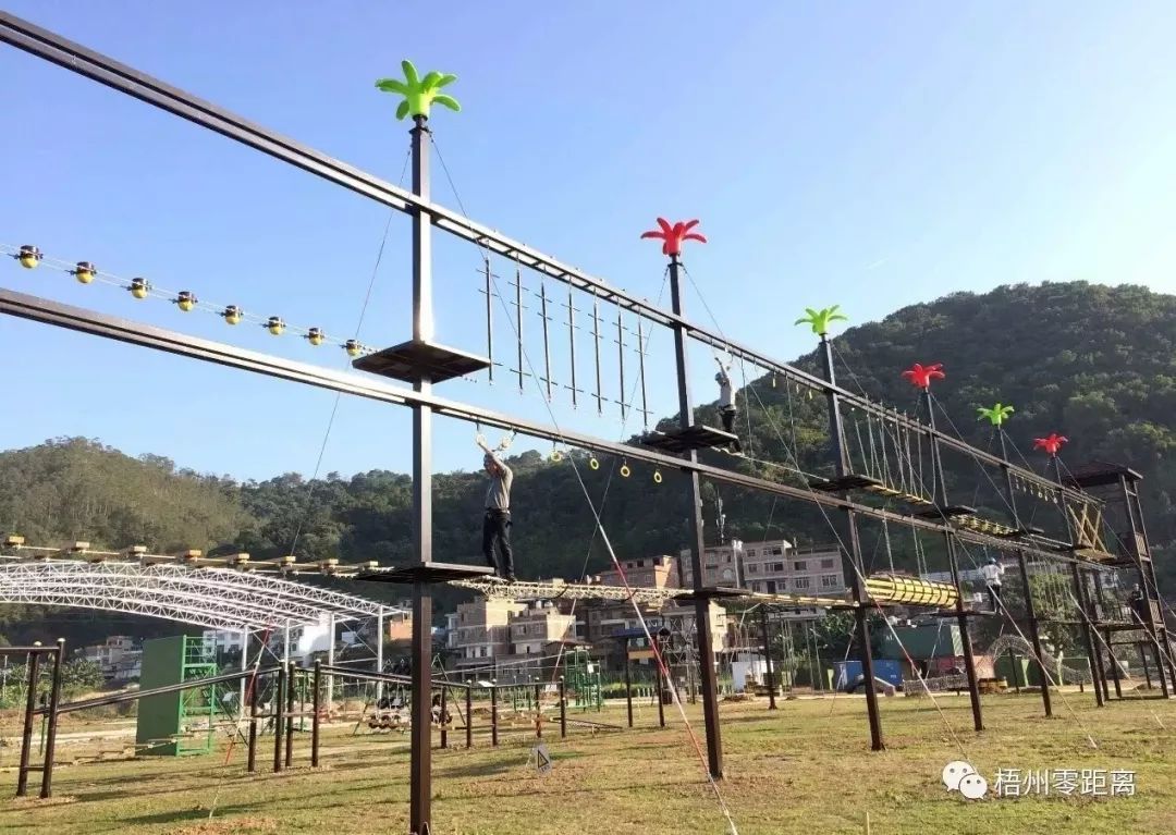 梧州新年旅游攻略,元旦梧州旅游最佳去处