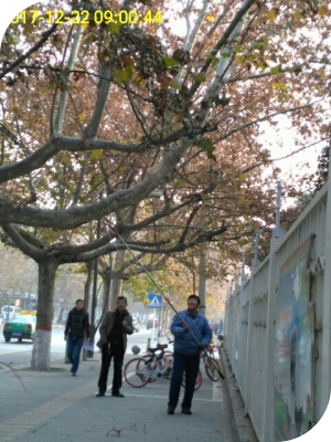 数字城管采集员清理共享单车,城管随手拍