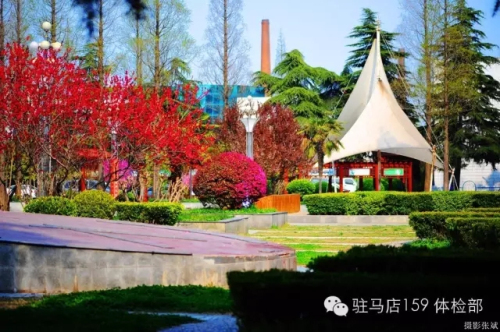 驻马店159是私人医院吗,驻马店159医院为啥改名