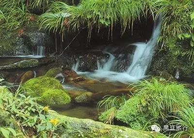 今年五一不出门宅在家里,五一不宅家悦游好时节