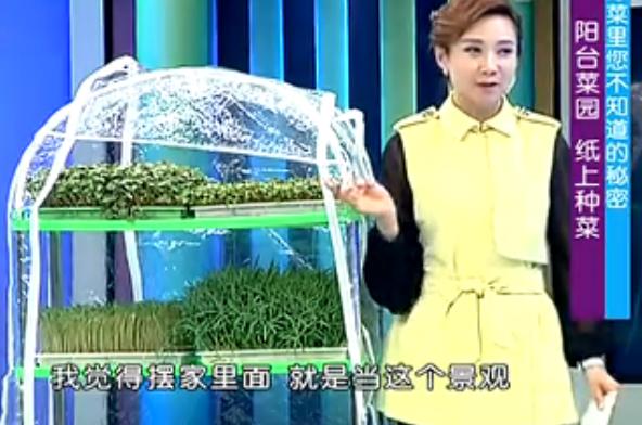 最新纸上适合家庭种菜的方法,纸上种菜方法