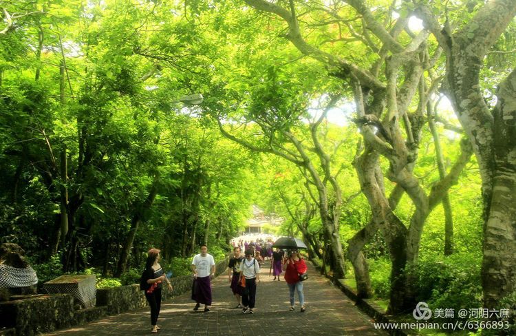 印度尼西亚巴厘岛印度教寺庙,巴厘岛最田园的热带风景
