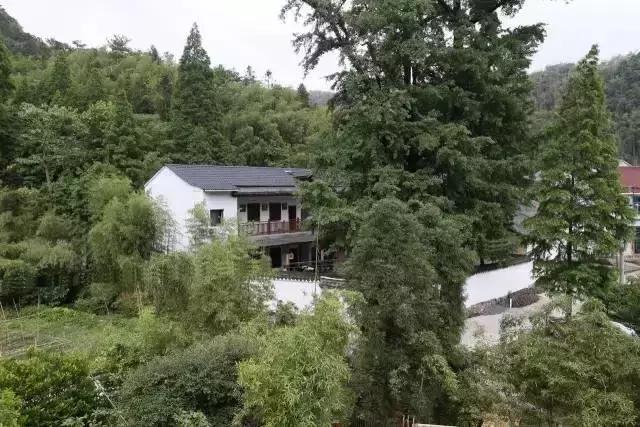 一城一色の人有德行，如水至清-德清