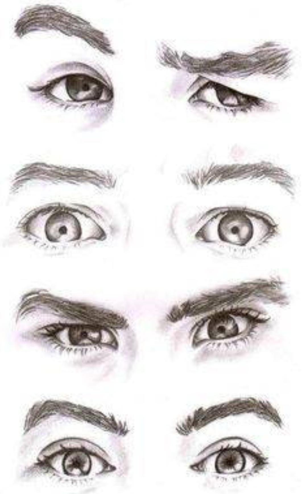 动物眼睛的画法大全,q版人物的眼睛画法