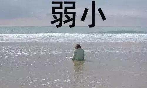 你的2017是什么样子,你的2017这一年总结