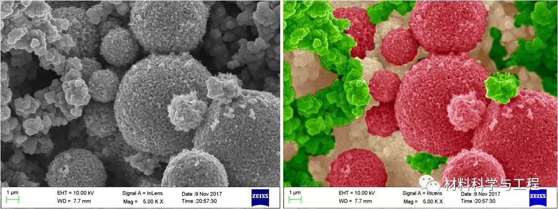 投票表决素材模板,投票素材图片图文