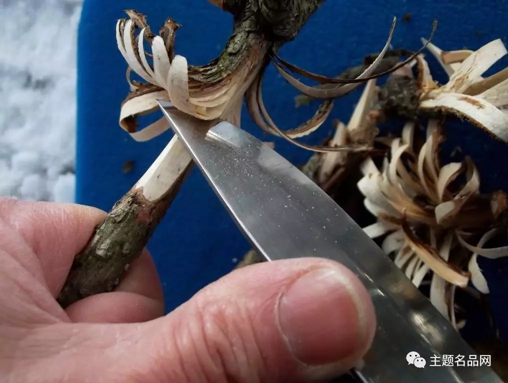 莫拉不锈钢板评测,莫拉重型卫士价格