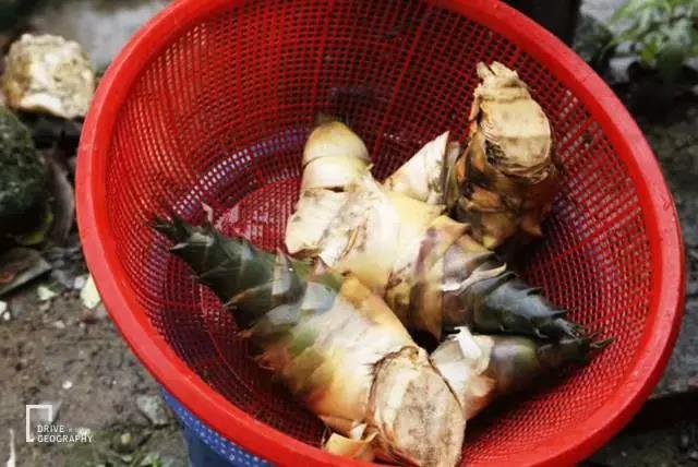 元旦最适合旅行的地方,元旦带家人去哪里玩好