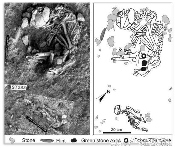 妖猫传猫是谁家的猫,妖猫传中猫为什么会成精