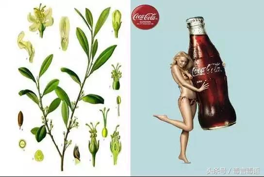 喝咔哇潮有什么副作用,喝咔哇潮对身体有什么危害