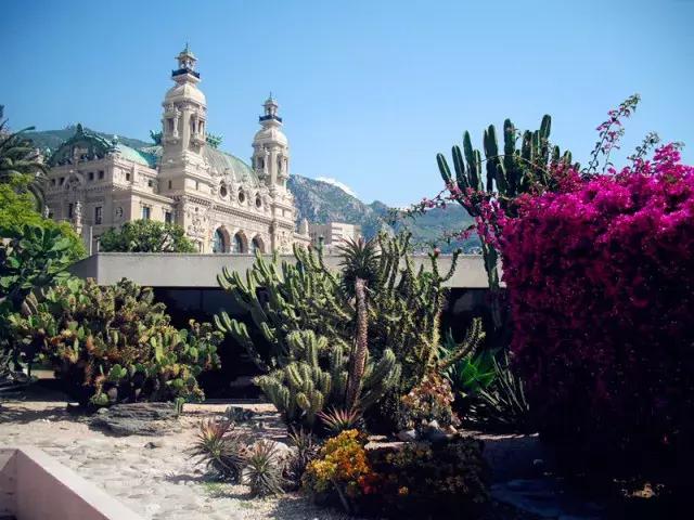 法国纪行—摩纳哥（看看F1赛道，欧洲*场赌**和摩纳哥王妃）