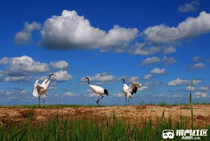 在荆门买房是什么体验,为什么一定要在老家有房子