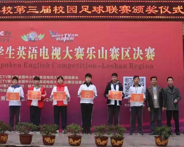 英姿飒爽绿茵场足球赛,绿茵战场