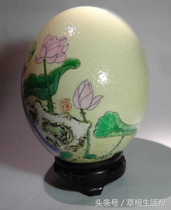 养殖“大笨鸟”，敲开致富门，80后回老家创业成为新一代农场主