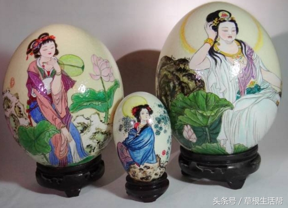 养殖“大笨鸟”，敲开致富门，80后回老家创业成为新一代农场主