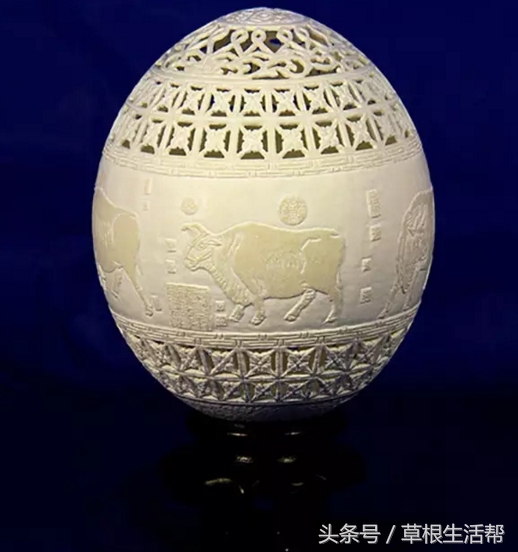 养殖“大笨鸟”，敲开致富门，80后回老家创业成为新一代农场主