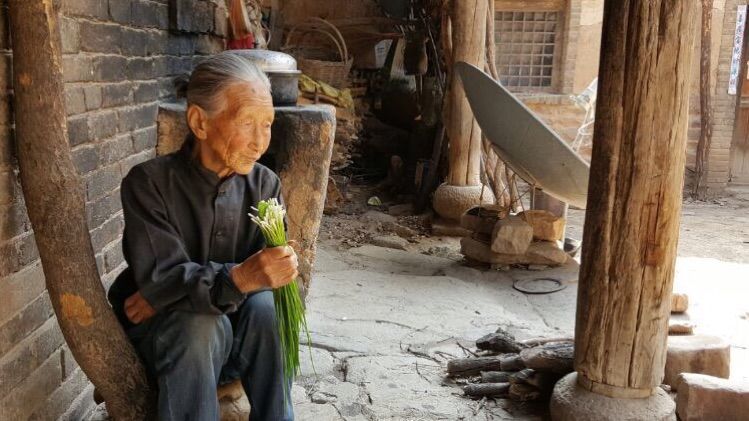 一个手机摄影师,一个摄影师日常记录生活