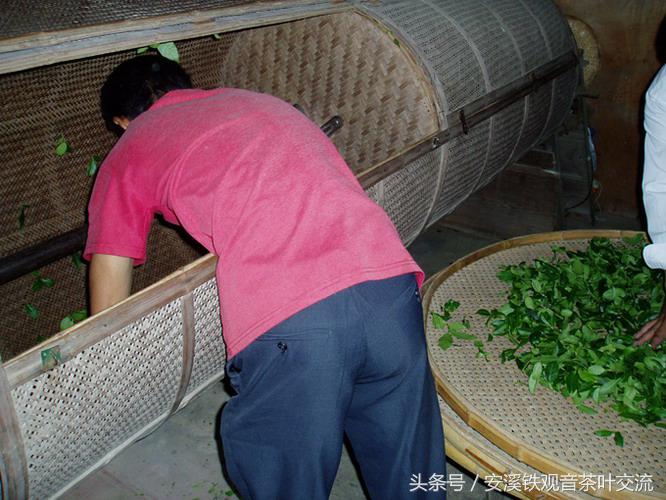安溪茶农生活,茶农的地道生活