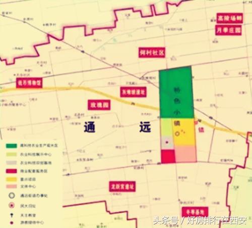 高陵滞销白菜,高陵为什么是关中白菜心