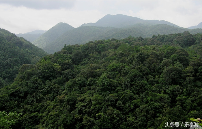 闽清黄楮林温泉,黄楮林自然保护区