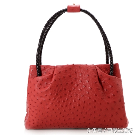 养殖“大笨鸟”，敲开致富门，80后回老家创业成为新一代农场主