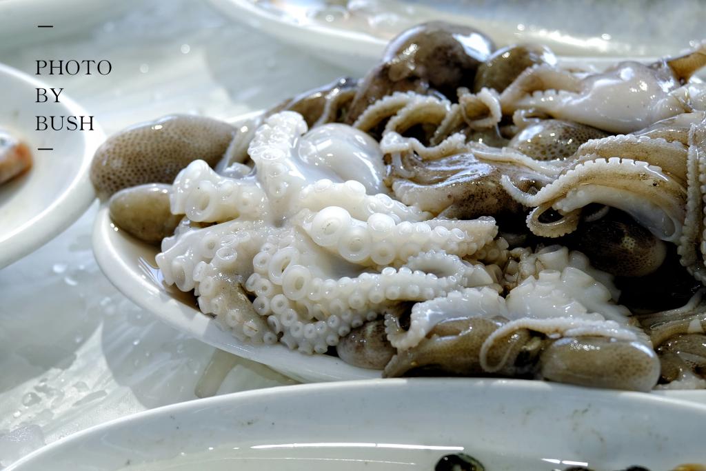 现在的东极岛,你知道凌晨四点的样子吗原视频