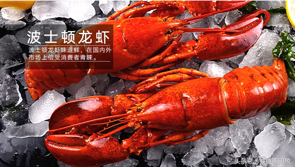 为什么海鲜礼盒那么便宜,海鲜市场海鲜礼盒