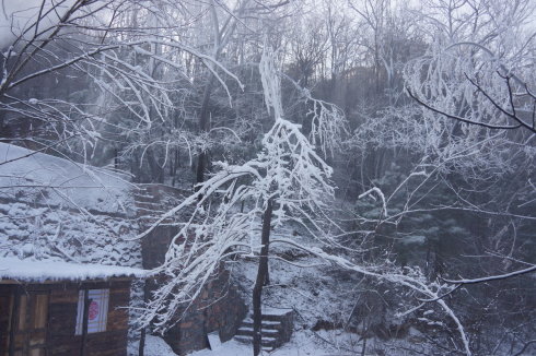 中原区有雪吗,中原雪乡在哪里