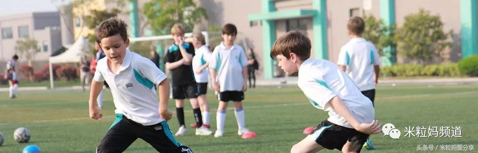 上海国际学校排行榜2023,海南上海世外国际学校