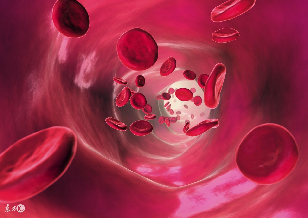 一整天都贫血,失血性贫血吃药物补血最快