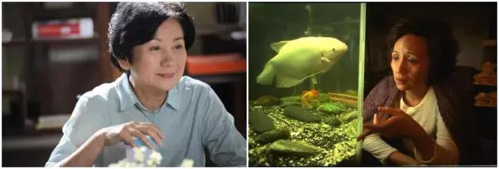 孙燕姿远赴冰岛拍摄新歌极美mv,孙燕姿美好回忆