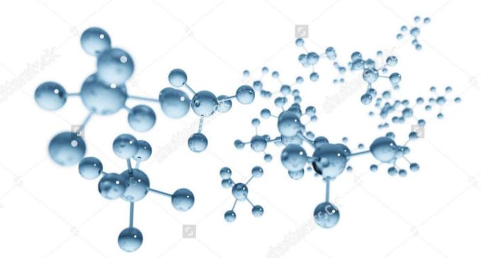 生命的左和右,生命的每一个方向
