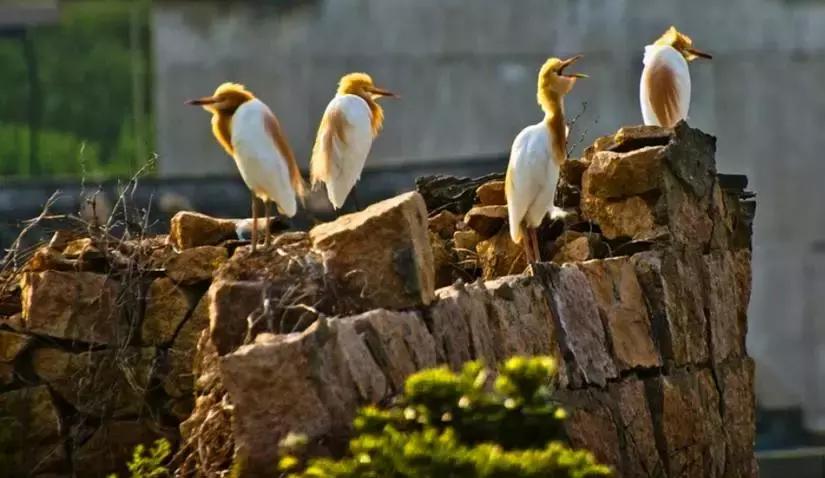 2019浙江旅行时间表,12月浙江最美旅行地排行