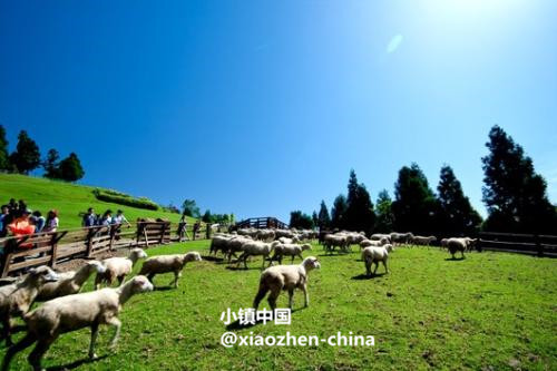 台湾清境农场，这里才是真正的清静之地！