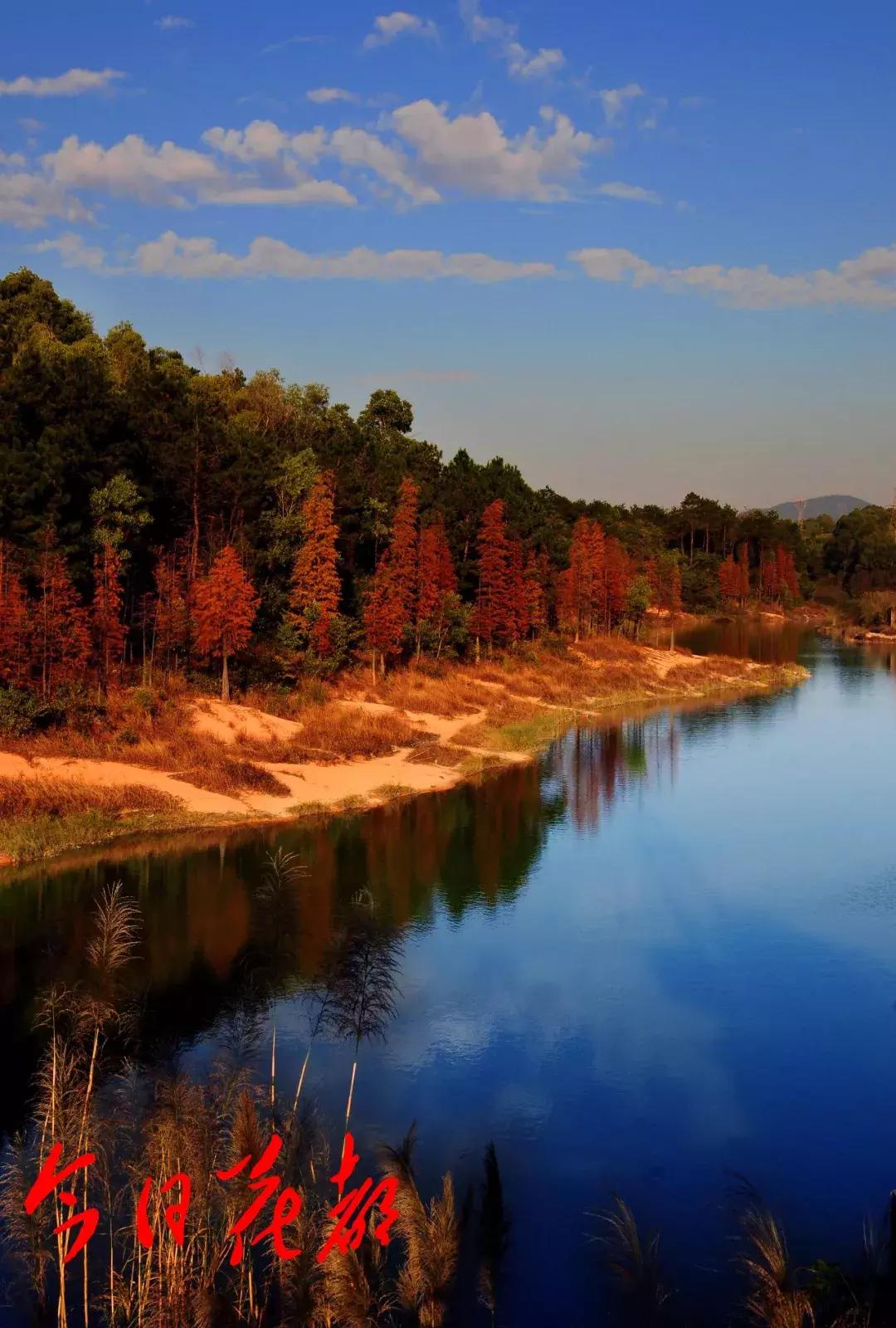 花都芙蓉嶂旅游景点,花都芙蓉嶂夜景