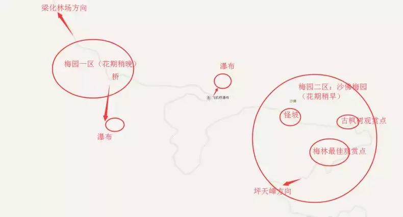 2024年梁化梅园看梅花时间,梁化梅花今年开了吗