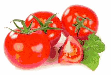 快收藏！海淀这412家网点，可以买到平价菜（附详细地址）