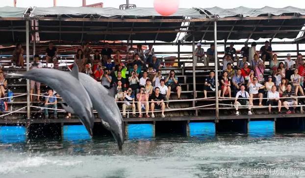 房车旅游最美游记,房车19天环岛旅游攻略