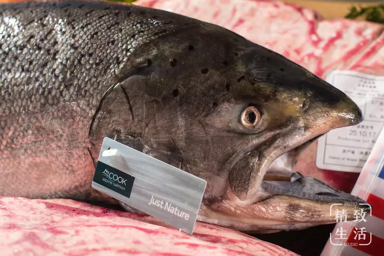 14年了，终于有人把它带回了魔都！