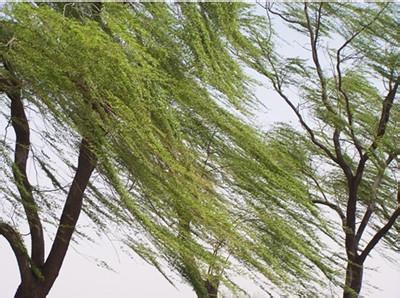 喝西北风一词由来,喝西北风古诗意思