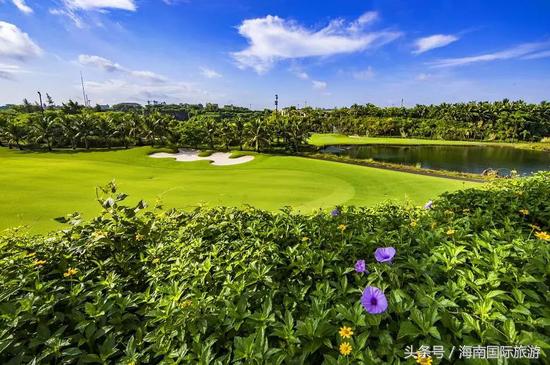 127亿！深耕一年跻身前五，不忘初心筑梦海南