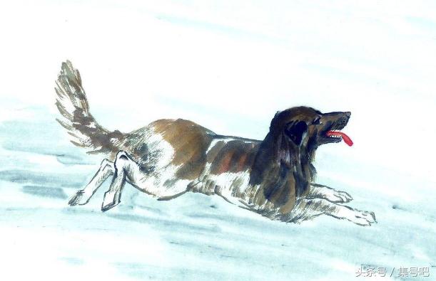 十二生肖2018年运势大全,2018年十二生肖整体运势如何呢