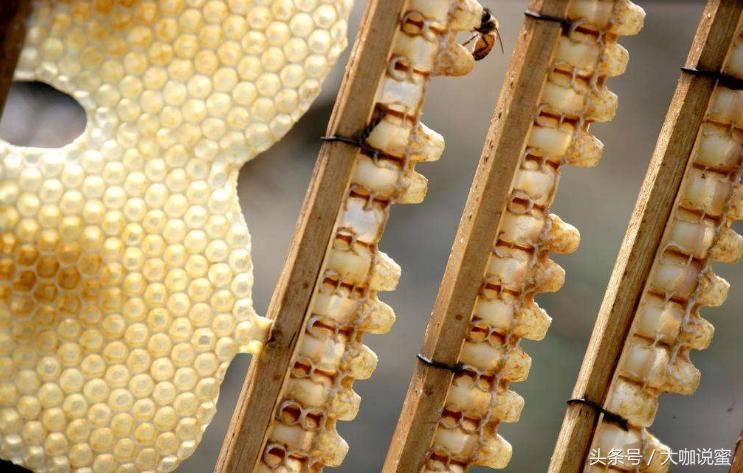 一勺蜂王浆等于多少个虫草,虫草燕窝蜂王浆