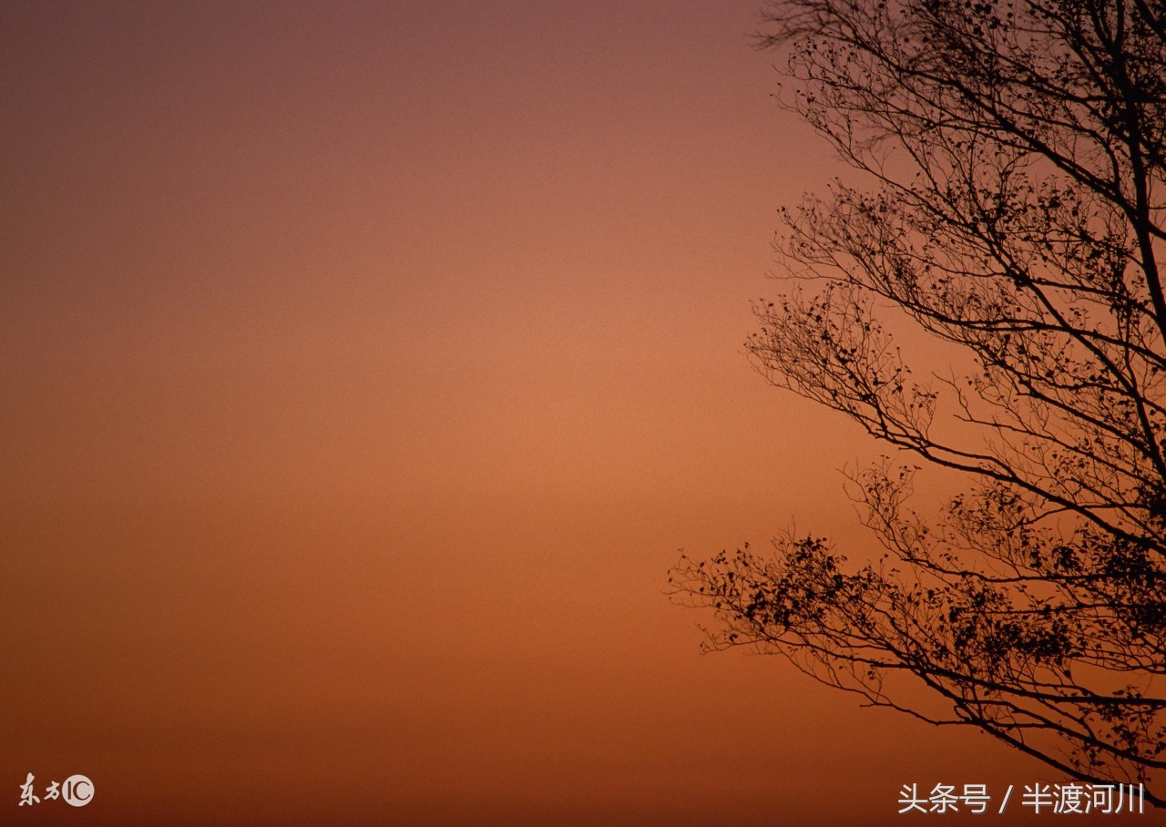 单行点影：跋涉（三）